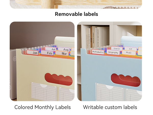 Accordion File Organizer, 12 - Pocket Expanding File Folders