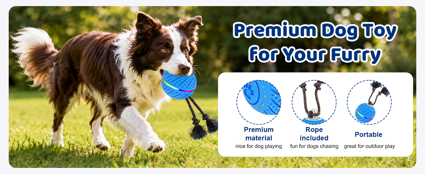 interactive dog toys