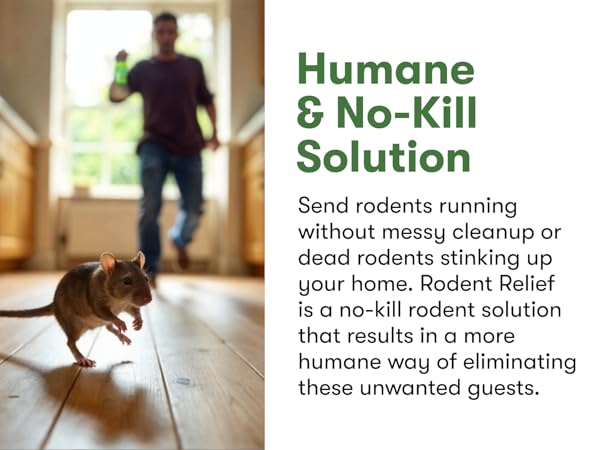 humans no-kill solution