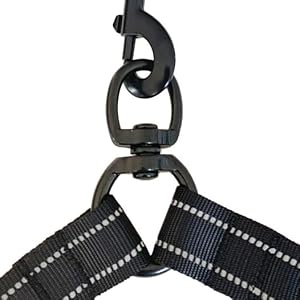 360 rotation