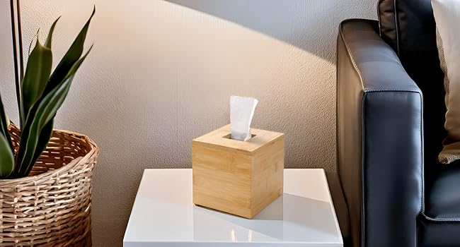 tissue box cover
