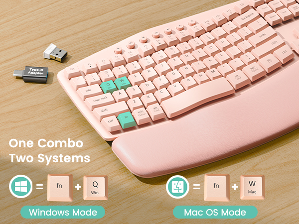 Compatible with MAC and Windows systems