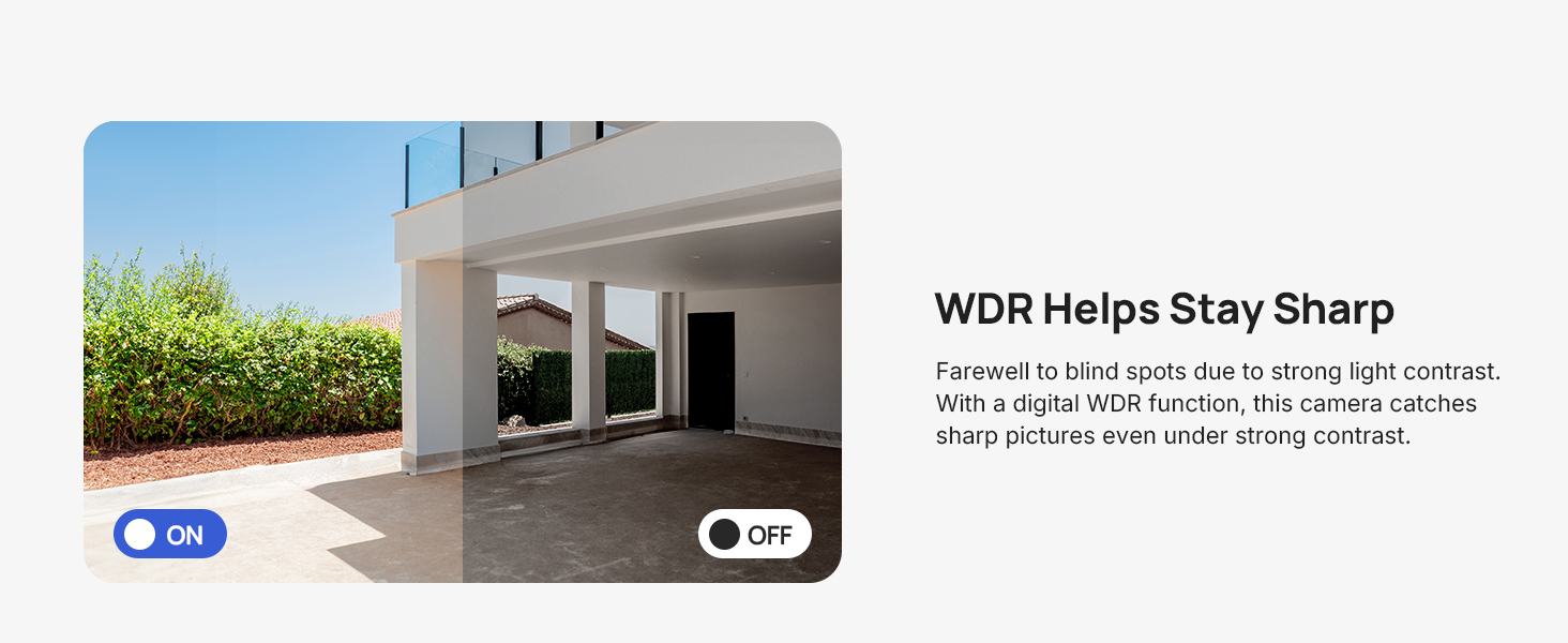 WDR Helps Stay Sharp