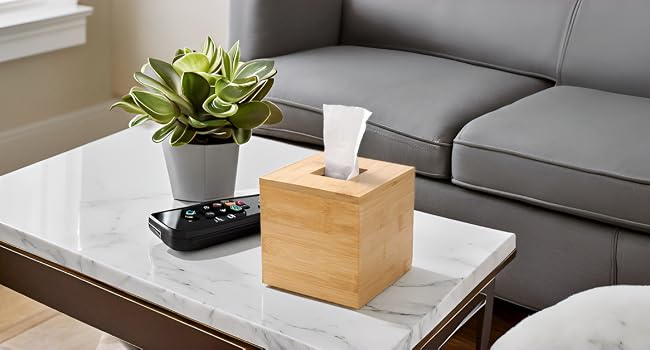 tissue box cover