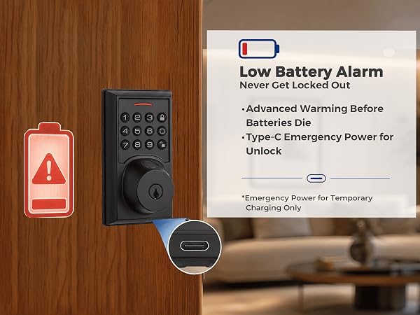 Low Battery Alarm and Emergency Charging