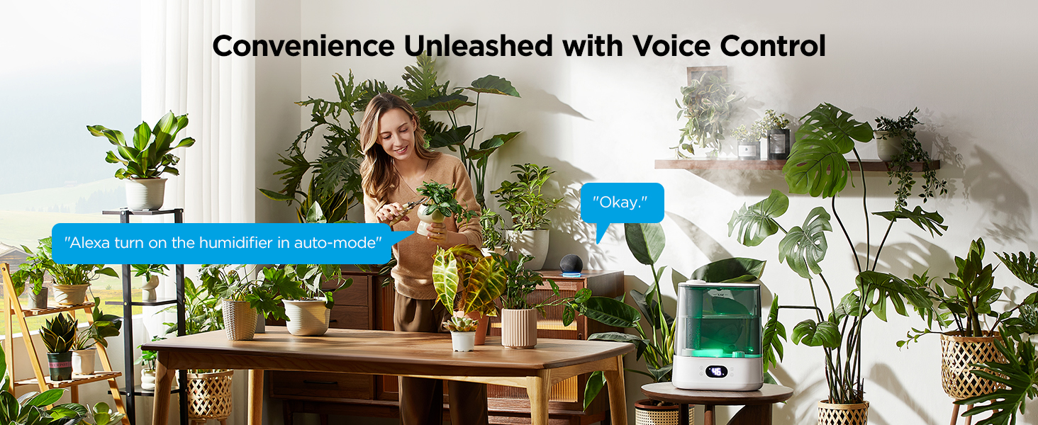 Voice Control