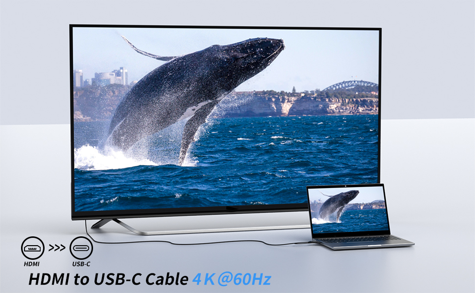 HDMI to USB C
