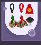 feng shui coin