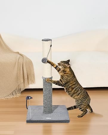 https://m.media-amazon.com/images/S/aplus-media-library-service-media/9f671721-ccf4-473f-8192-29edbb46a7bb.__CR0,0,1448,1812_PT0_SX362_V1___.jpg