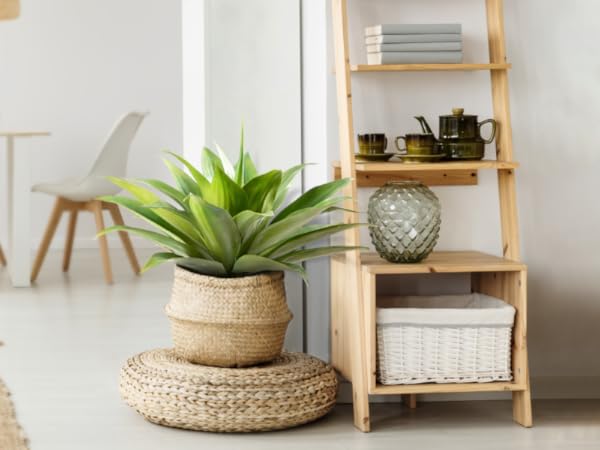 Infuse home with the beauty of Nature