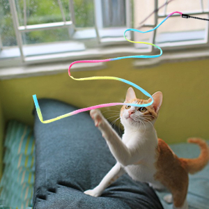 cat toy wand