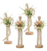 ANPHSIN 4 Pcs 8.6'' Wooden Air Plant Holder - Unique Jointed Mannequin Airplant Stand with Adjust...