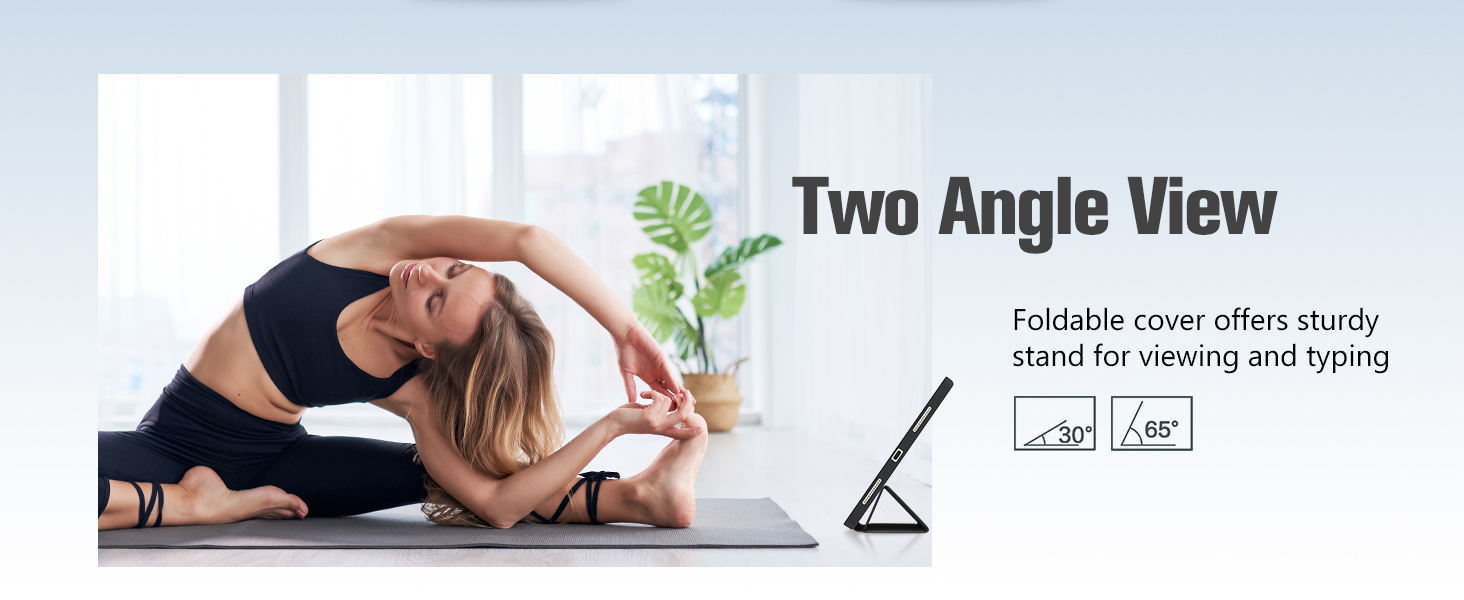 Dual Viewing Angles