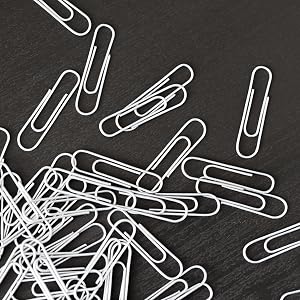 PAPERPAL Smooth Finish Paper Clips