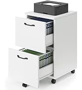 DUMOS 2 Drawer Filing Cabinet, Rolling Wood File Cabinet for Home Office, Under Desk Storage with...