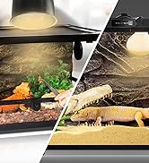 Reptile Heat Lamp Bulb (2nd Gen)