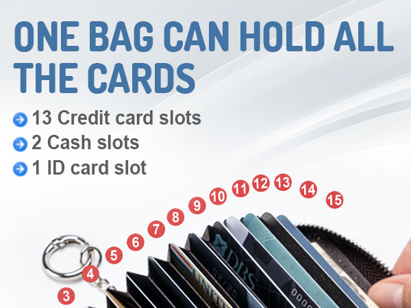 Mayski Credit Card Holder