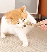 Tocirelo Cat Toys Silvervine Sticks - 6Pack Natural Cat Chew Toys for Indoor Cats Kittens, Matata...