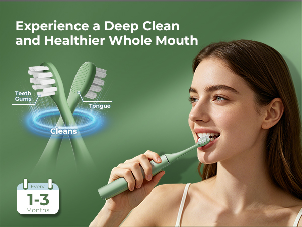 replacement toothbrush heads