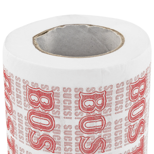 Fairly Odd Novelties Boston Sucks Novelty Toilet Paper