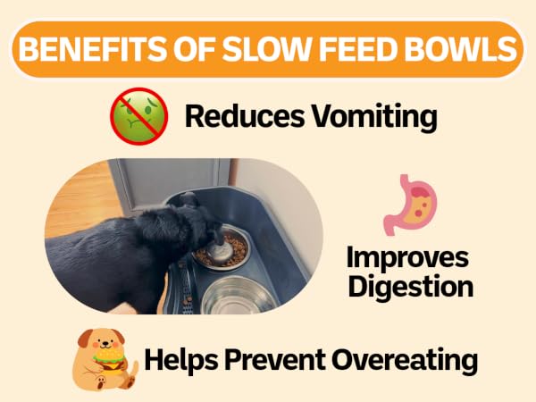 Benefits of using a slow feed bowl