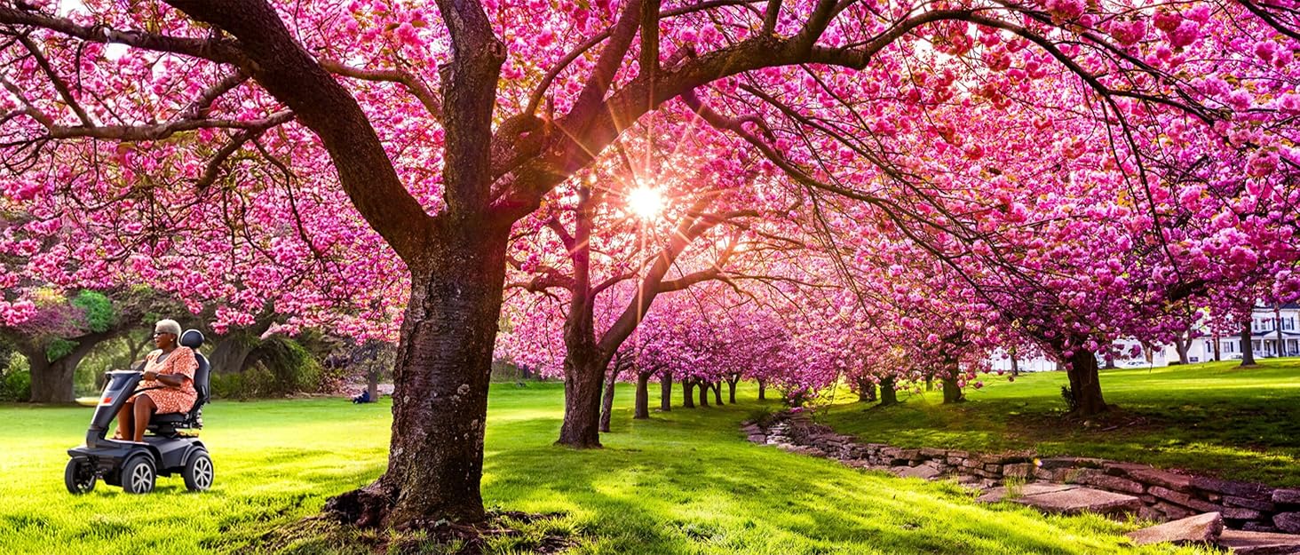 A woman enjoys her mobility scooter, riding through the grass under some beautiful pink cherry trees