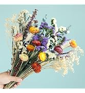 Natural Dried Flower Bouquet, 17" DIY Floral Arrangements with Eucalyptus Strawflower Lavender, R...