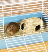 Prevue Pet Products Nature's Hideaway Grass Hut Small Animal Toy - for Guinea Pigs, Rabbits,