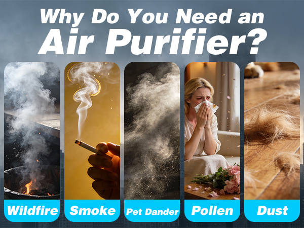 Negative Ion Air Purifier Plug in