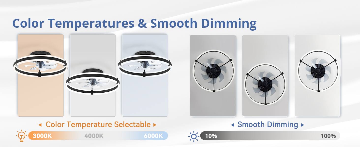 Ceiling Fans with Lights