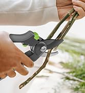 Garden Shears
