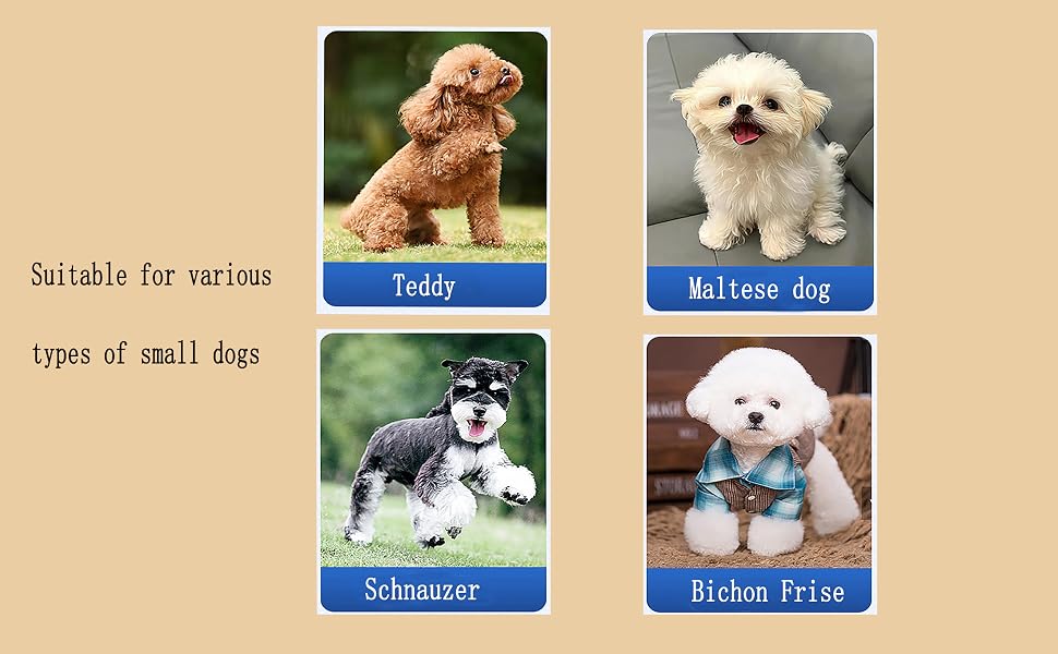 Suitable for various types of small dogs
