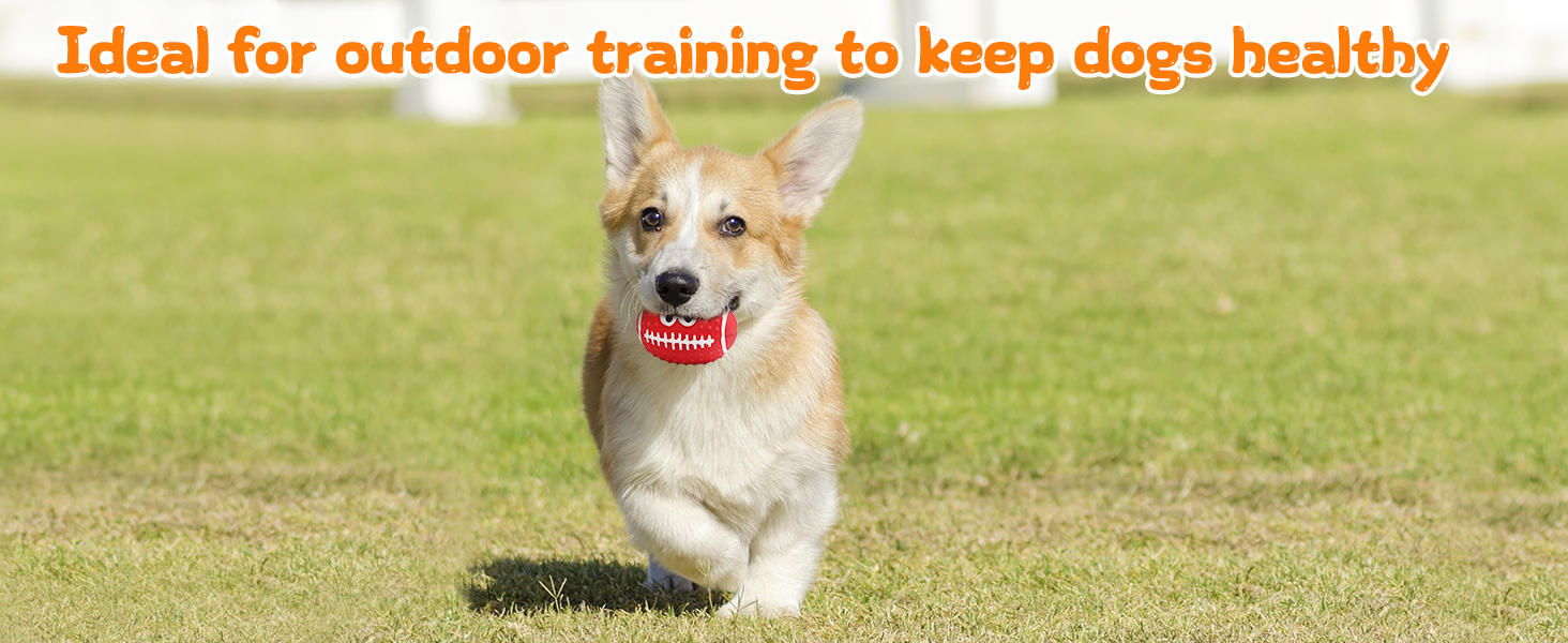 pet toys for dogs small