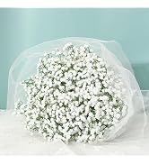 MARTINE MALL Babys Breath Artificial Flowers, 10 PCS White Baby Breath Flowers Artificial Bulk, F...