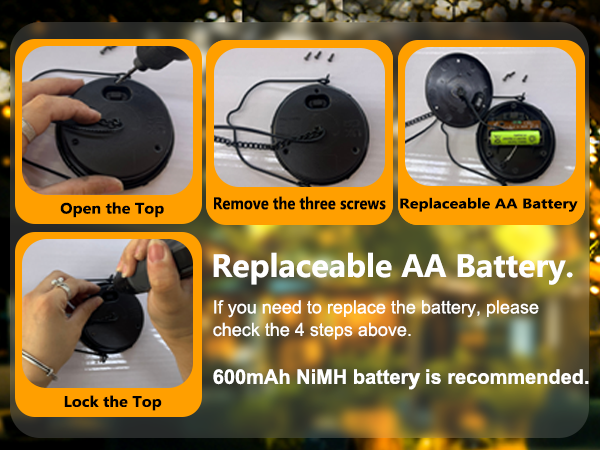 Replaceable AA Battery