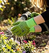 Woman gloves