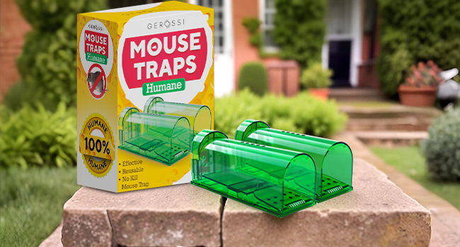 humane mouse traps indoor for home - no kill mouse traps