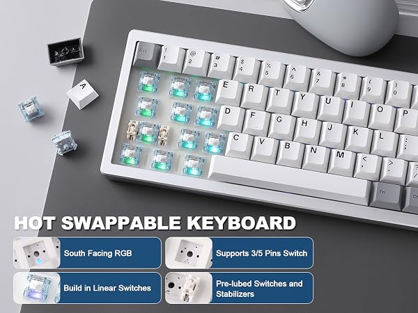 Text reads 'HOT SWAPPABLE KEYBOARD' showing close-up views of a mechanical keyboard with RGB lighting and highlighted key switches