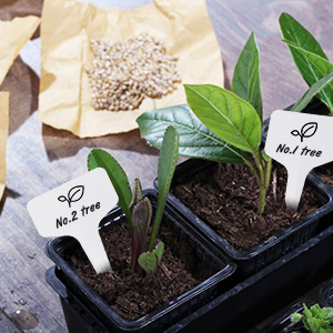 Nursery Garden Labels