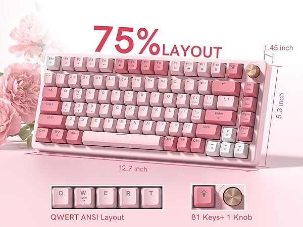 75% layout mechanical keyboard, 81keys