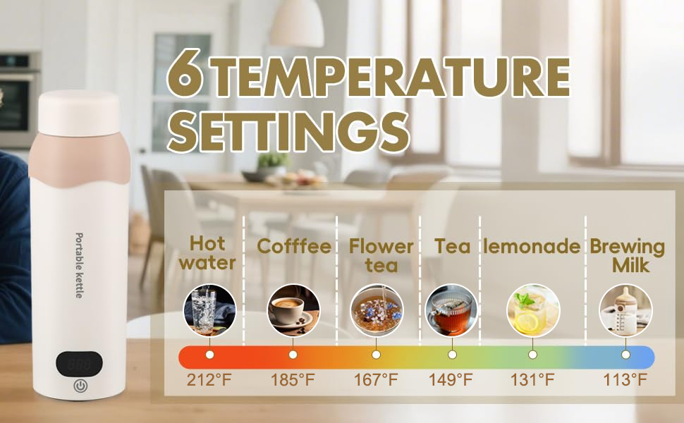 Travel Electric Tea Kettle temperature control electric kettle