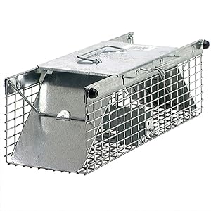 Havahart Live Animal Two-Door Mouse Cage Trap