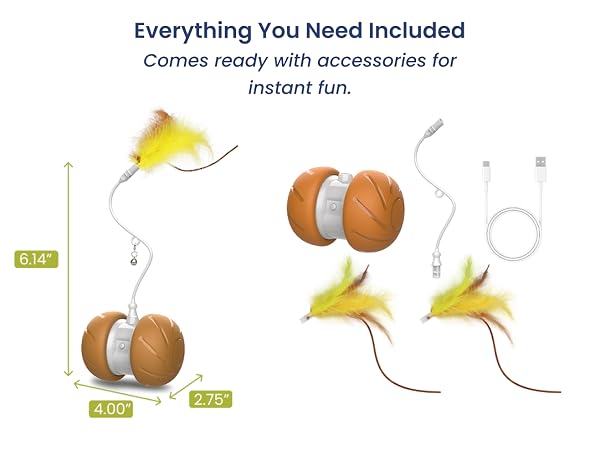 Cat toy with accessories