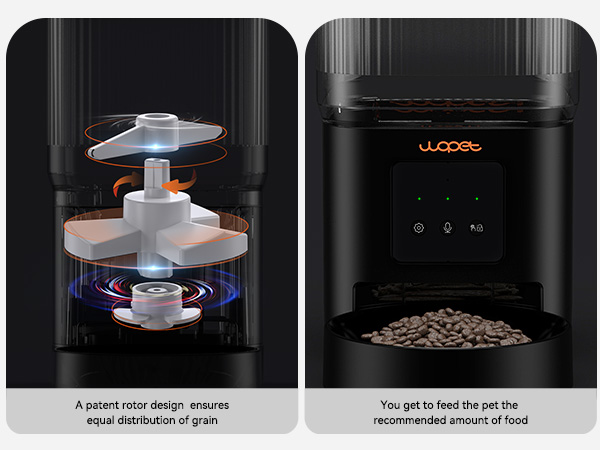 automatic food dispenser for cat