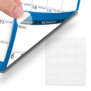 Dry Erase Calendar