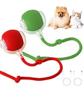 DINGLIAN 2 Pack Interactive Cat Puppy Toy Balls with Tail for Indoor | Automatic Activate Interac...