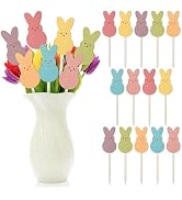 TICIAGA 14PCS Easter Wooden Picks Decorations for Home Bunny Double-Sided Decorative Picks for Ho...