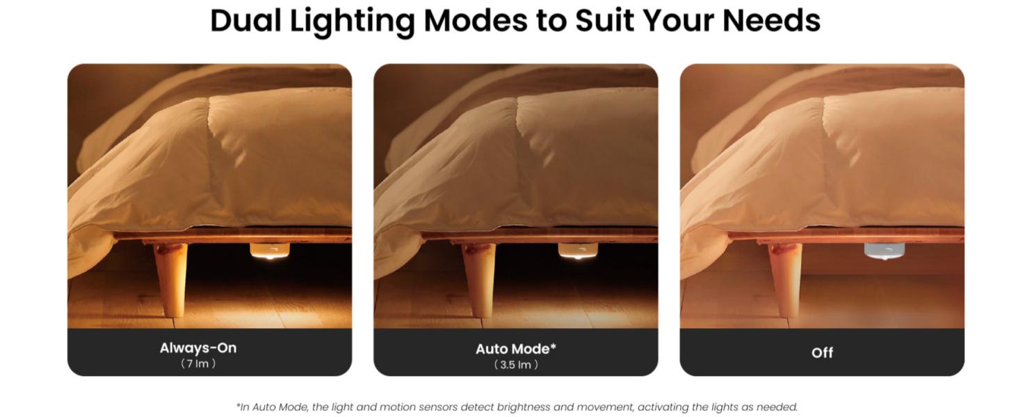 Dual Lighting