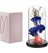 oridom Preserved Flower Gift, Light Up Rose in Glass Dome, Eternal Forever Rose Flower Gifts for ...