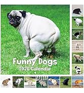 2026 Funny Calendar - Gag Gifts, 2026 Calendar, Jan.2026 - Dec.2026, 12" X 24" (Open), 2026 Wall ...